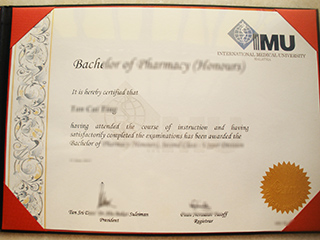 IMU University degree