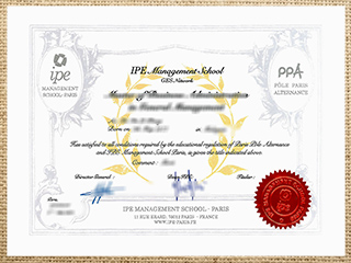 IPE Management School Paris degree