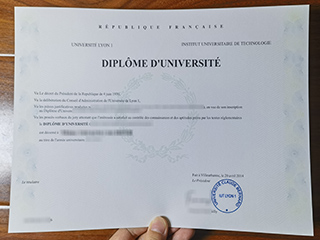IUT Lyon 1 degree