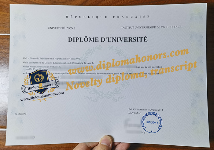 IUT Lyon 1 diploma