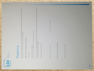 Leidse onderwijsinstelling degree