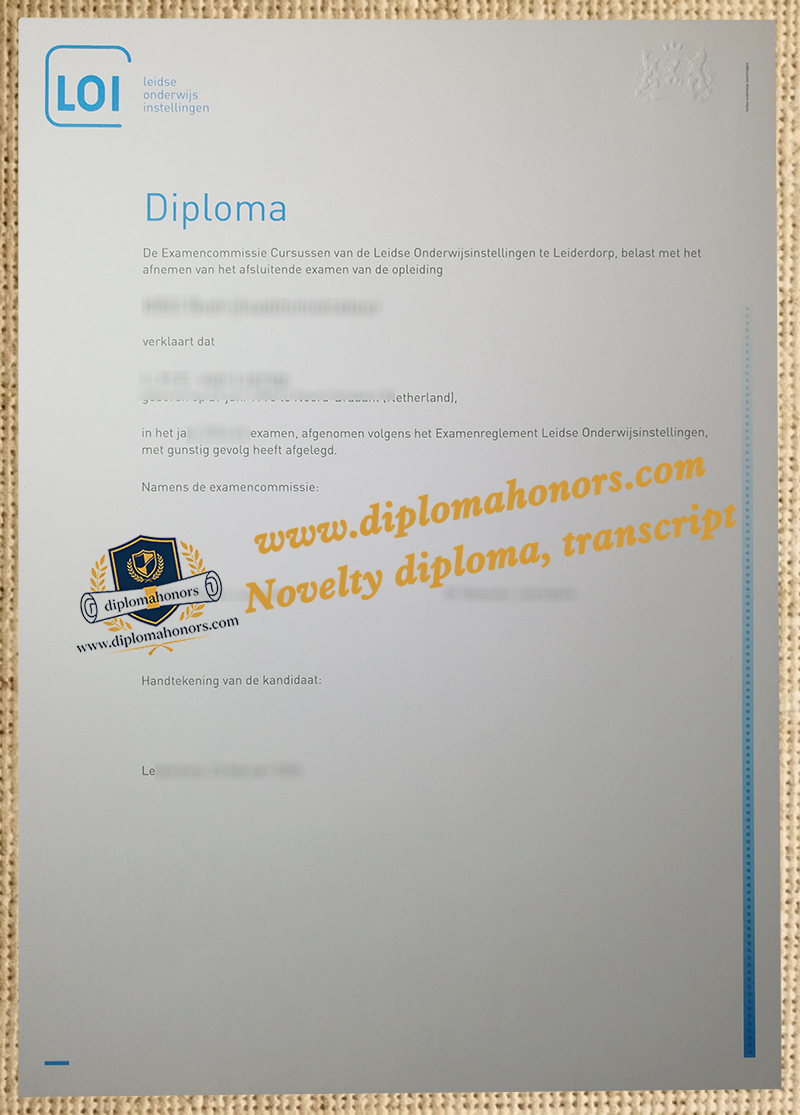 Leidse onderwijsinstelling diploma