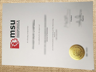 Management & Science University degree