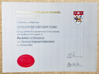 Nanyang Technological University degree