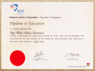 National Institute of Education degree
