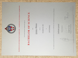 Radboud Universiteit Nijmegen degree