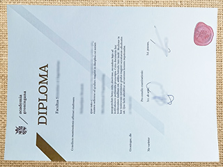 Rijksuniversiteit Groningen degree