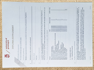 University of Groningen transcript