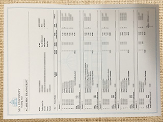 SEGi University official transcript
