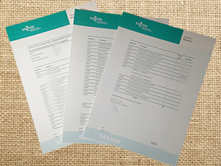 Hogeschool Saxion transcript