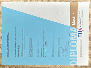 Technische Universiteit Eindhoven degree