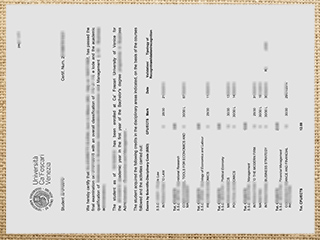 University of Venezia transcript