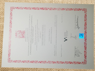 Università degli Studi di Napoli Federico II diploma