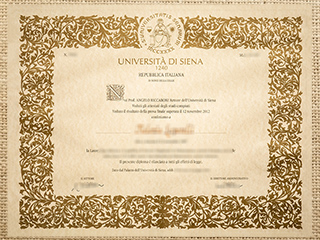 Università degli Studi di Siena diploma
