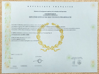 Université Paris-XI degree