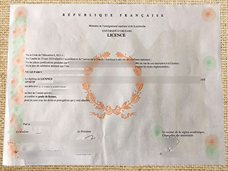 Université d'Orléans degree