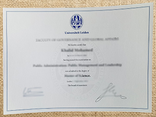 Universiteit Leiden degree