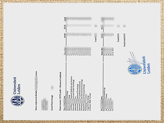 Leiden University transcript