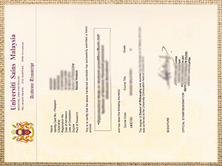 USM transcript
