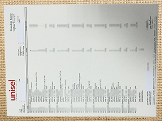 University of Selangor transcript