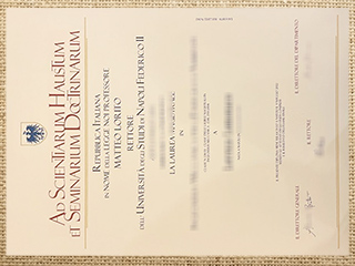 University of Naples Federico II diploma