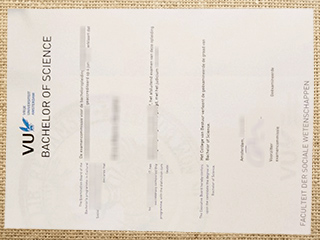 Vrije Universiteit Amsterdam degree