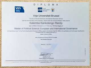 Vrije Universiteit Brussel degree