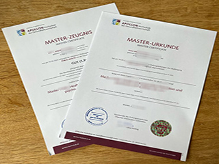 APOLLON Hochschule degree
