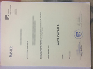 Alanus Hochschule degree