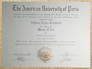 American University of Paris degree