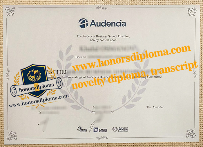 Audencia Business School diploma