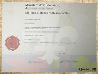 Diplôme d études professionnelles