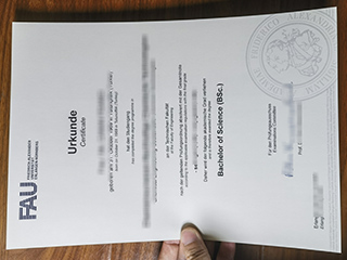 FAU Erlangen-Nürnberg degree