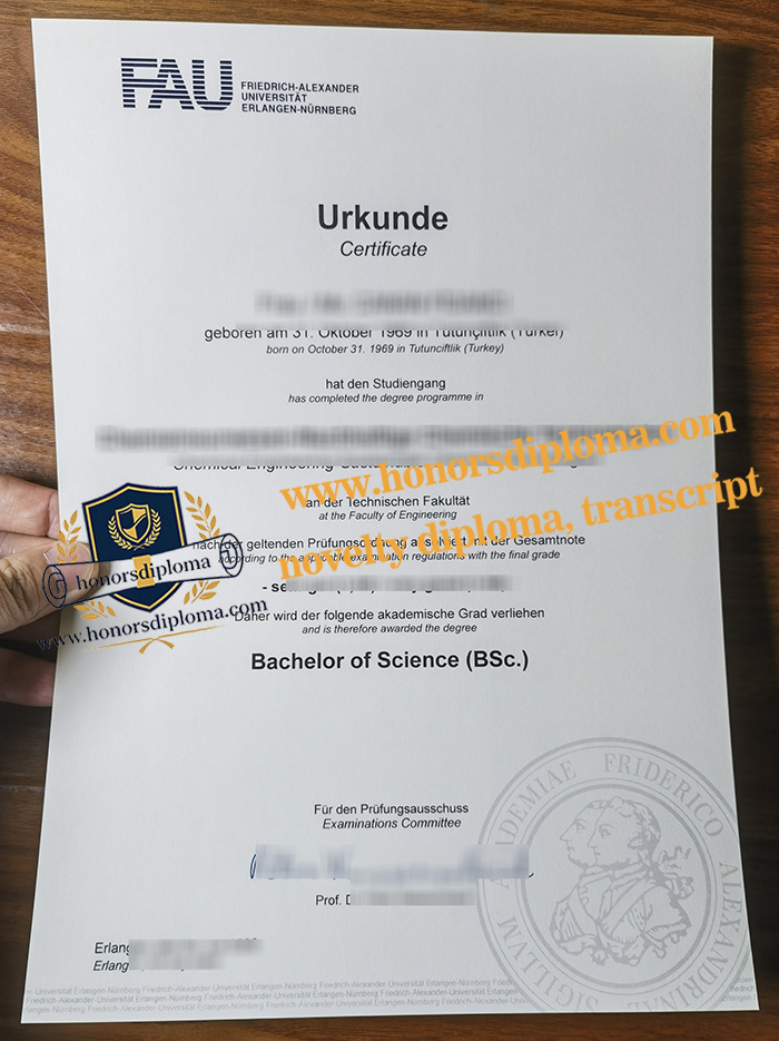 FAU Erlangen-Nürnberg diploma