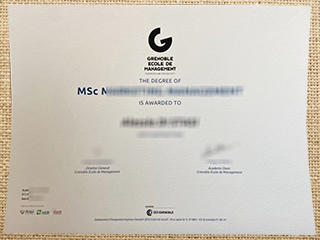 Grenoble Ecole de Management degree