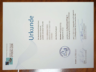 Hochschule Emden/Leer degree