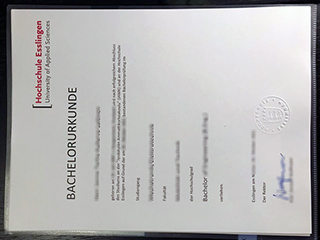 Hochschule Esslingen degree