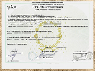 INSA Lyon degree