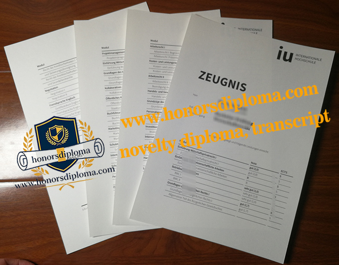 IU Internationale Hochschule transcript