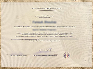 International Space University degree