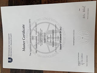 Katholische Universität Eichstätt-Ingolstadt degree