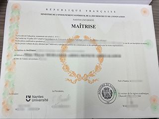 Nantes Université degree