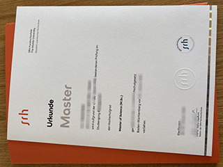 SRH Fernhochschule degree