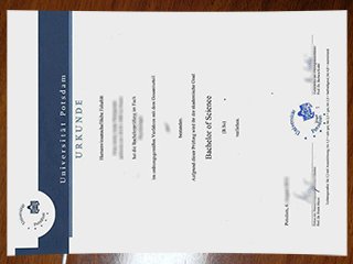 Universität Potsdam degree