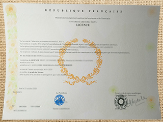 Université Grenoble Alpes degree