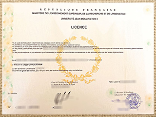 Université Jean Moulin Lyon 3 diploma