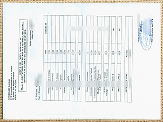 Université Sorbonne-Paris-Nord transcript