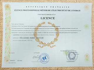 Université de Bordeaux 3 diploma
