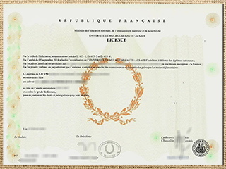 Université de Haute-Alsace degree