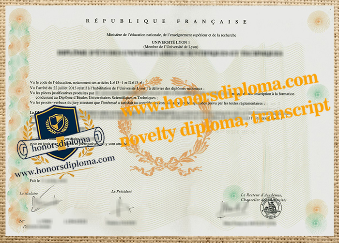 Université de Lyon 1 diploma